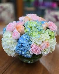 Hydrangeas